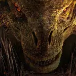 Seriál Rod draka představí 17 nových draků