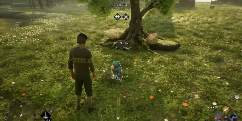 Fantastická zvířata ve hře Hogwarts Legacy, hrabák na poli